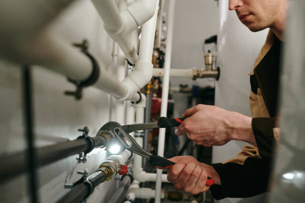 Best Plumbing Services Near Me  in Ash Grove, MO