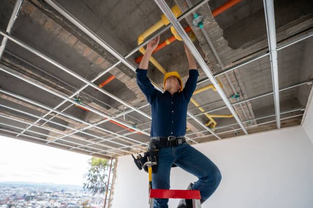 Best Plumbing Inspection Services  in Ash Grove, MO