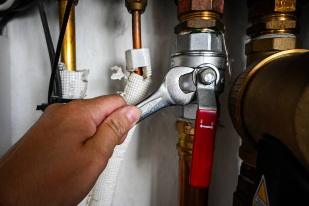 Best Hot Water Heater Installation  in Ash Grove, MO